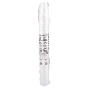 20 oz. Foam Cups | Packaged