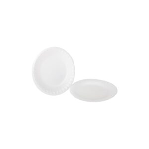 6″ Foam Plates | Raw Item